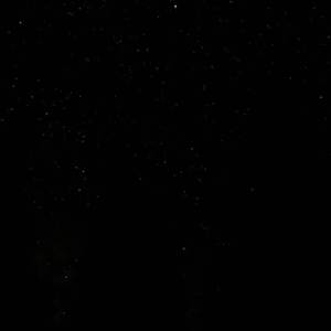 国产精品无码久久免费看
